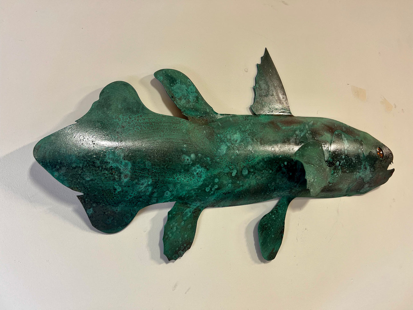 Coelacanth Copper